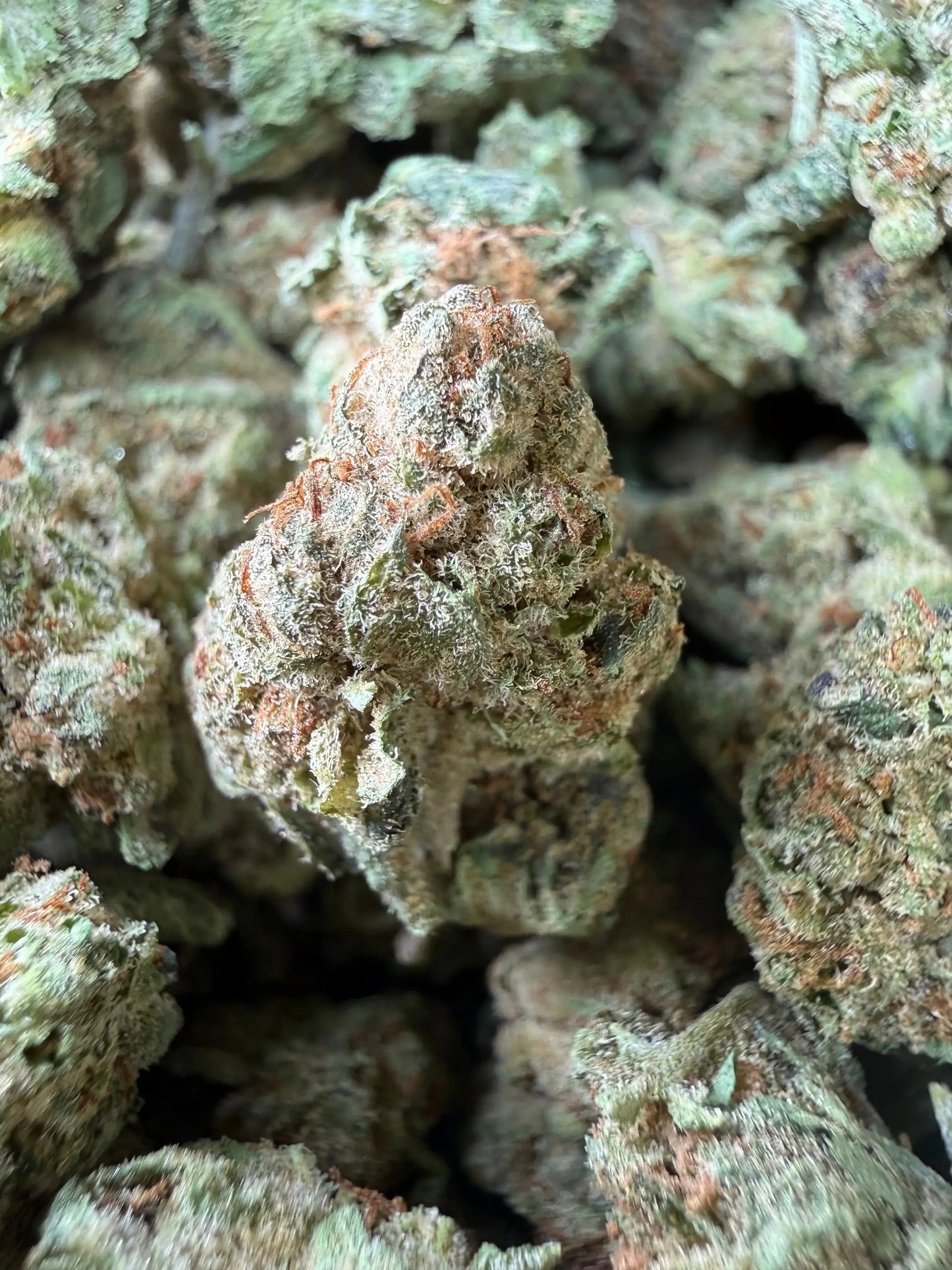 Space Queen THCA Flower (Smalls) – 1 Pound | Premium Indoor Hybrid ...