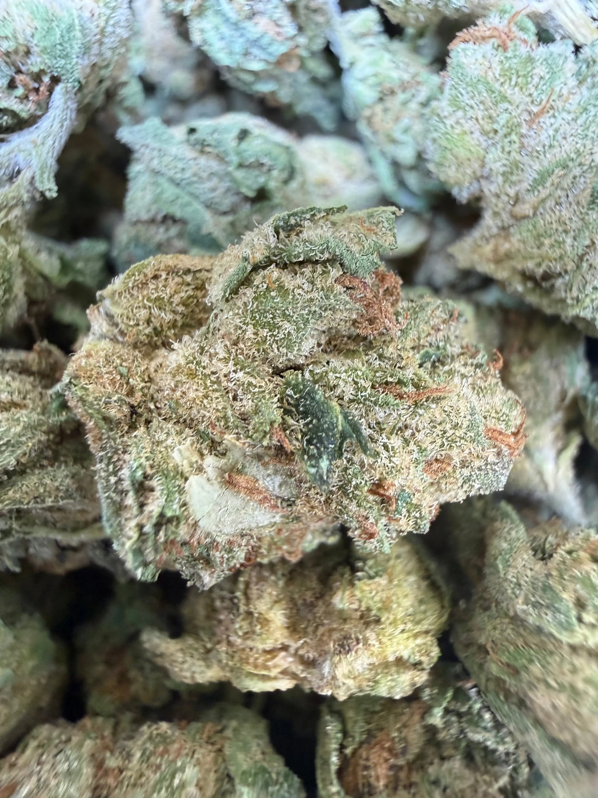 1 Pound - Space Queen THCA Strain (Smalls) Frisco Labs