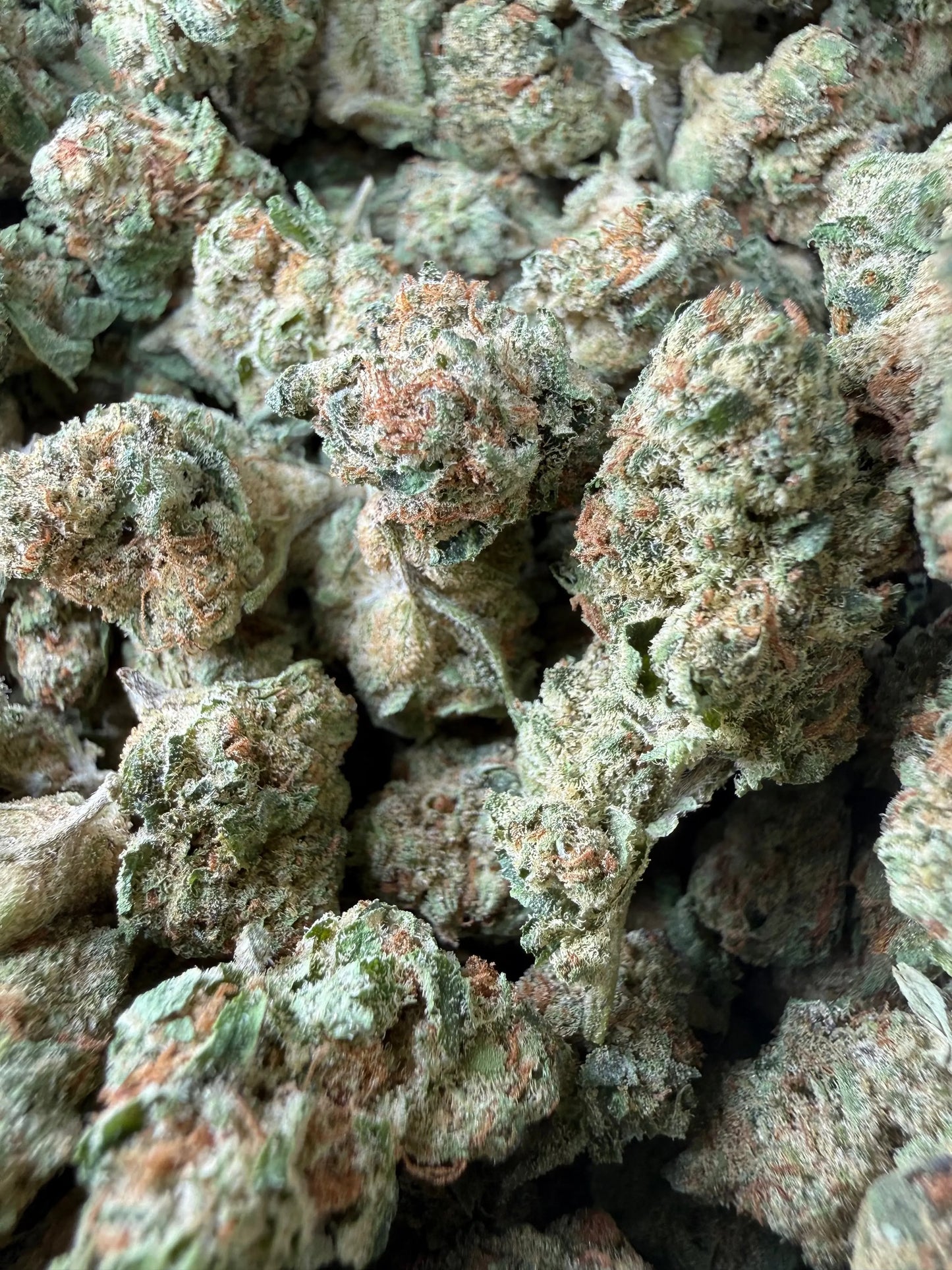 1 Pound - Space Queen THCA Strain (Smalls) Frisco Labs