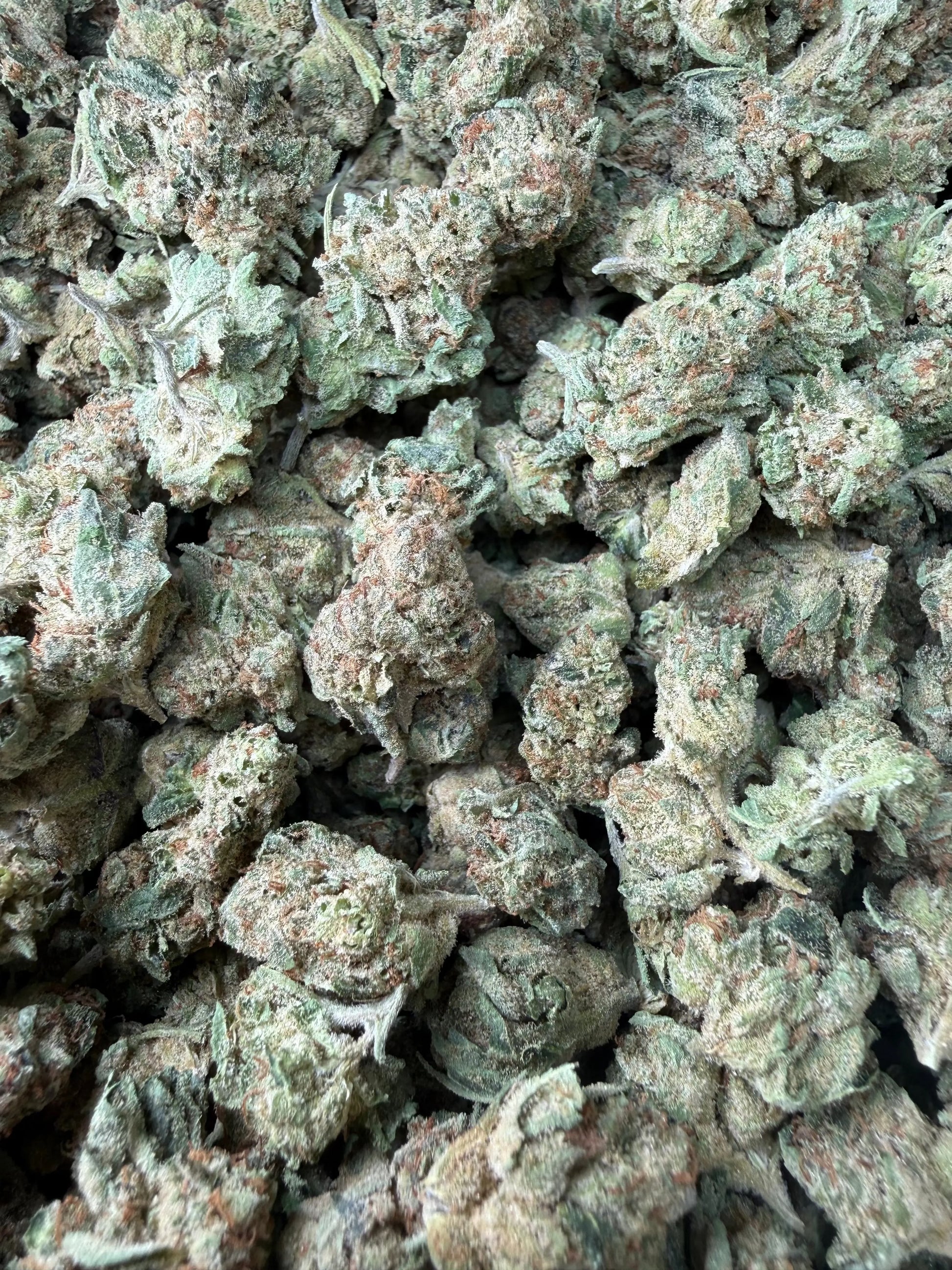 1 Pound - Space Queen THCA Strain (Smalls) Frisco Labs