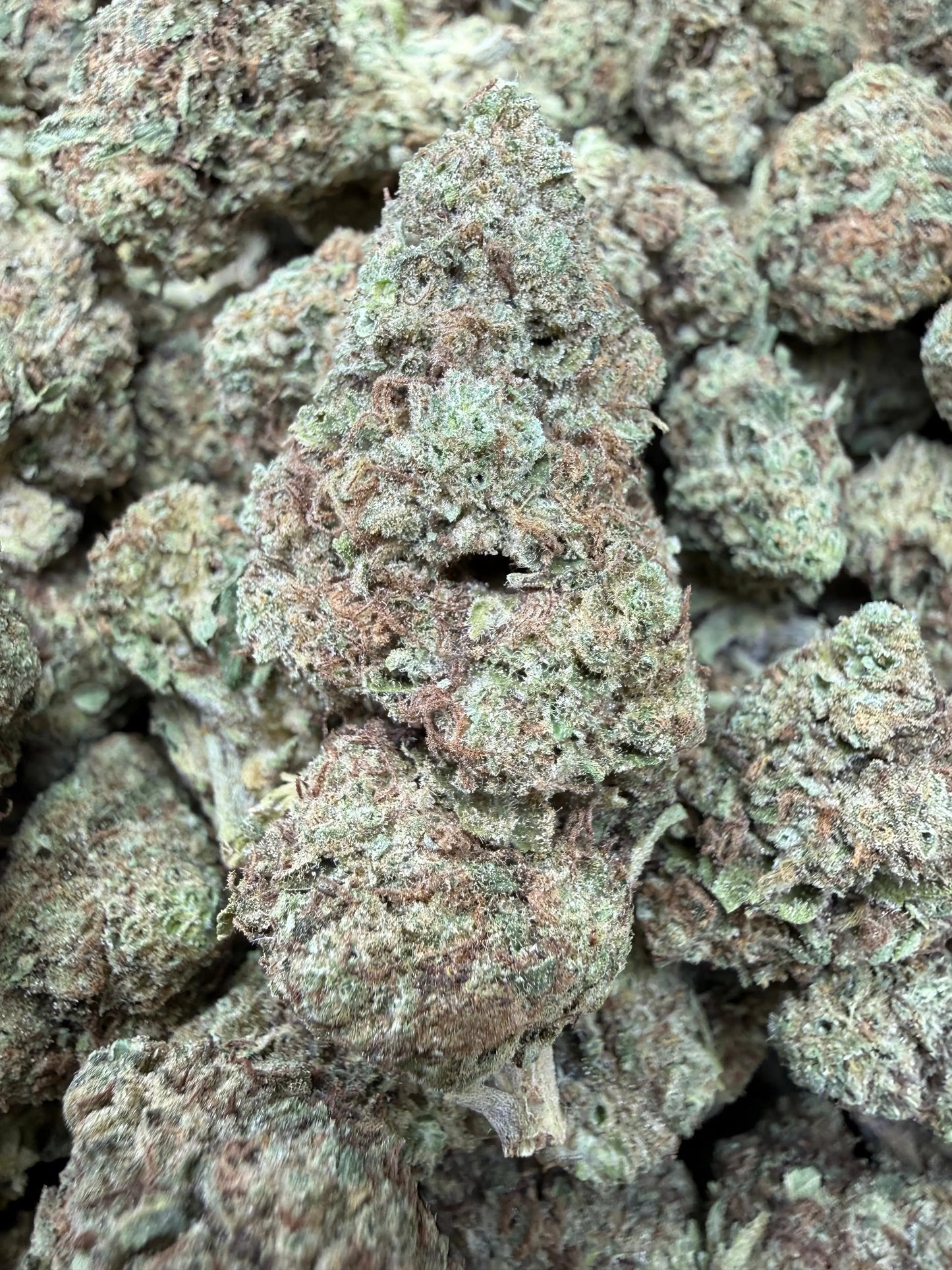 1 Pound - Sugar Bread THCA Strain Frisco Labs