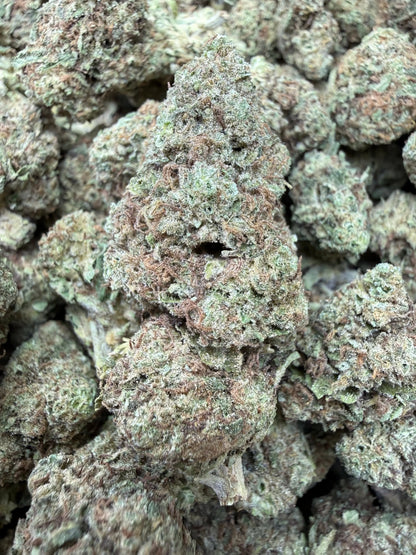 1 Pound - Sugar Bread THCA Strain Frisco Labs