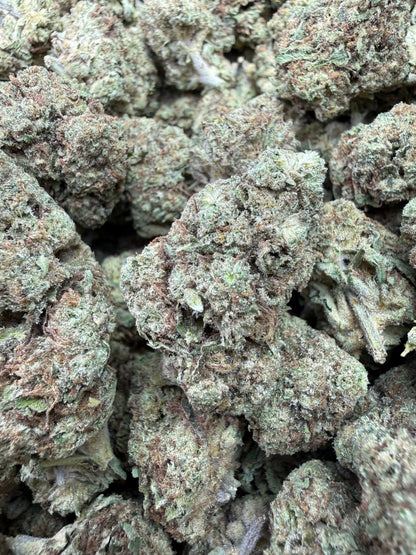 1 Pound - Sugar Bread THCA Strain Frisco Labs