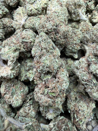 1 Pound - Sugar Bread THCA Strain Frisco Labs