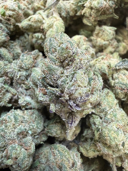 1 Pound - Sugar Syndicate THCA Strain Frisco Labs