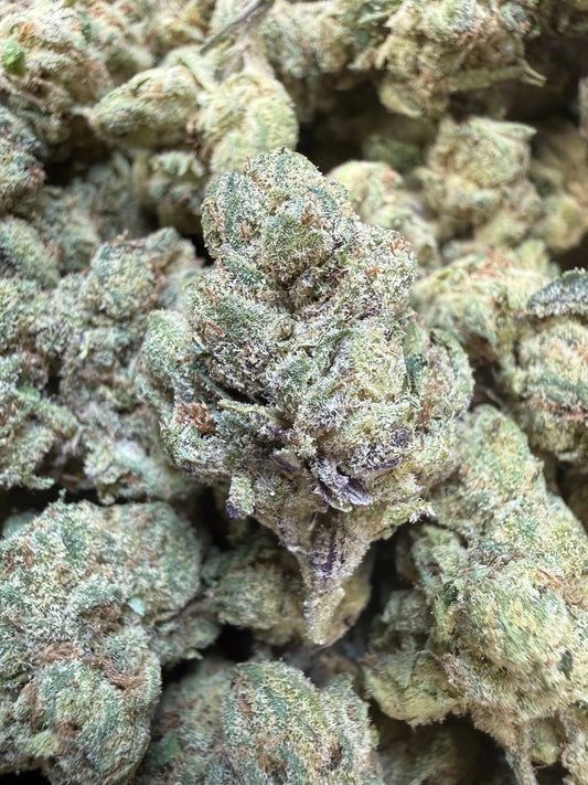 1 Pound - Sugar Syndicate THCA Strain Frisco Labs