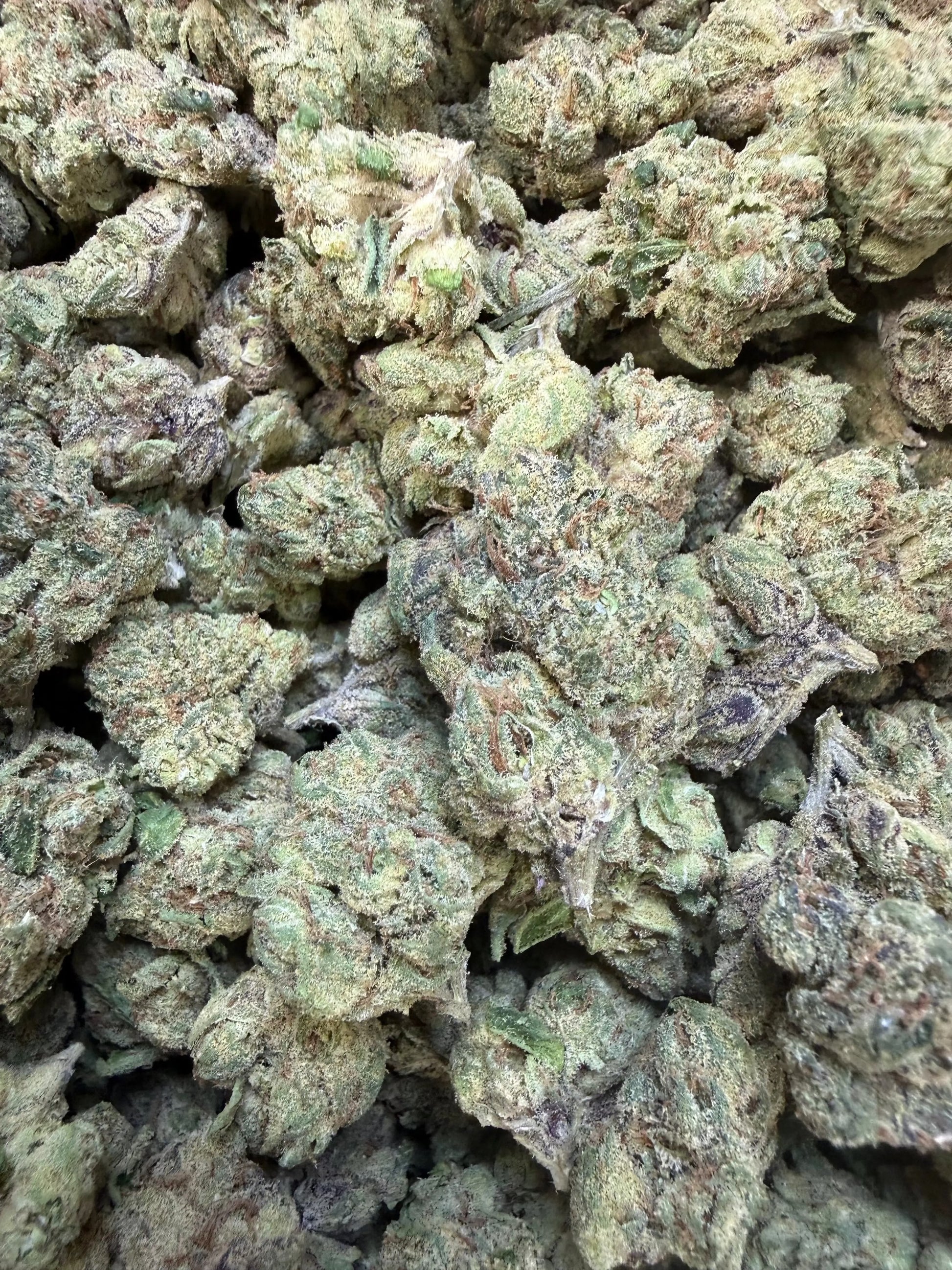 1 Pound - Sugar Syndicate THCA Strain Frisco Labs