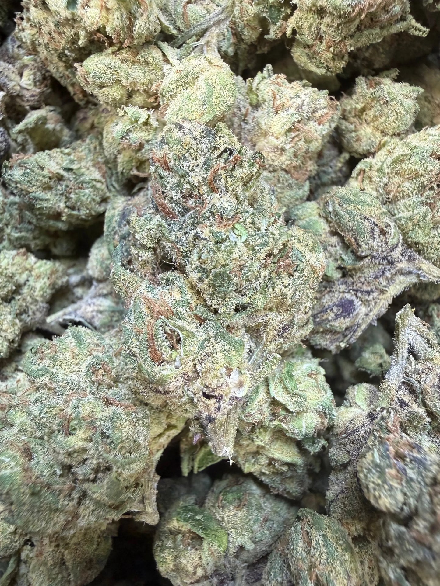 1 Pound - Sugar Syndicate THCA Strain Frisco Labs