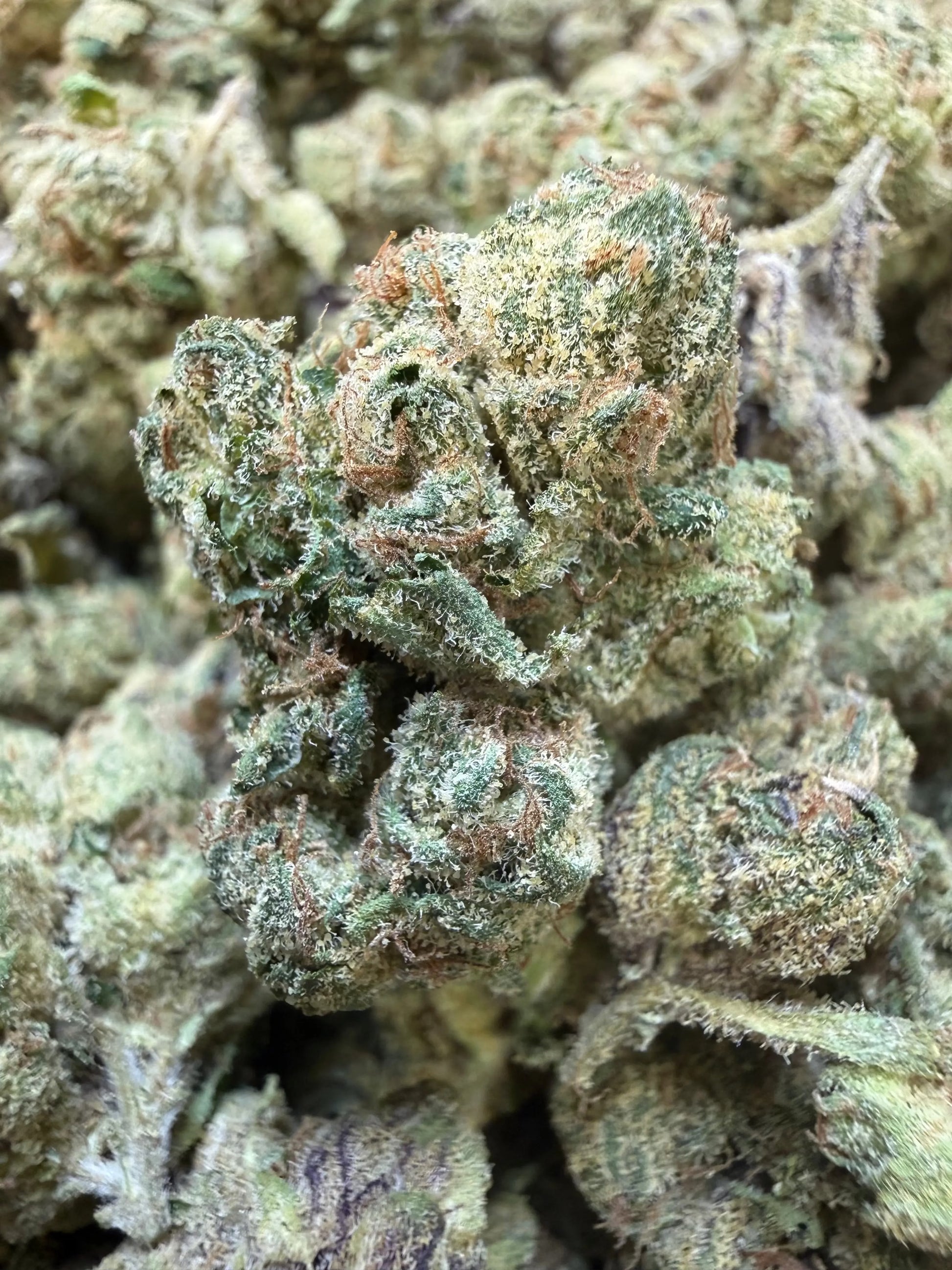 1 Pound - Sugar Syndicate THCA Strain Frisco Labs