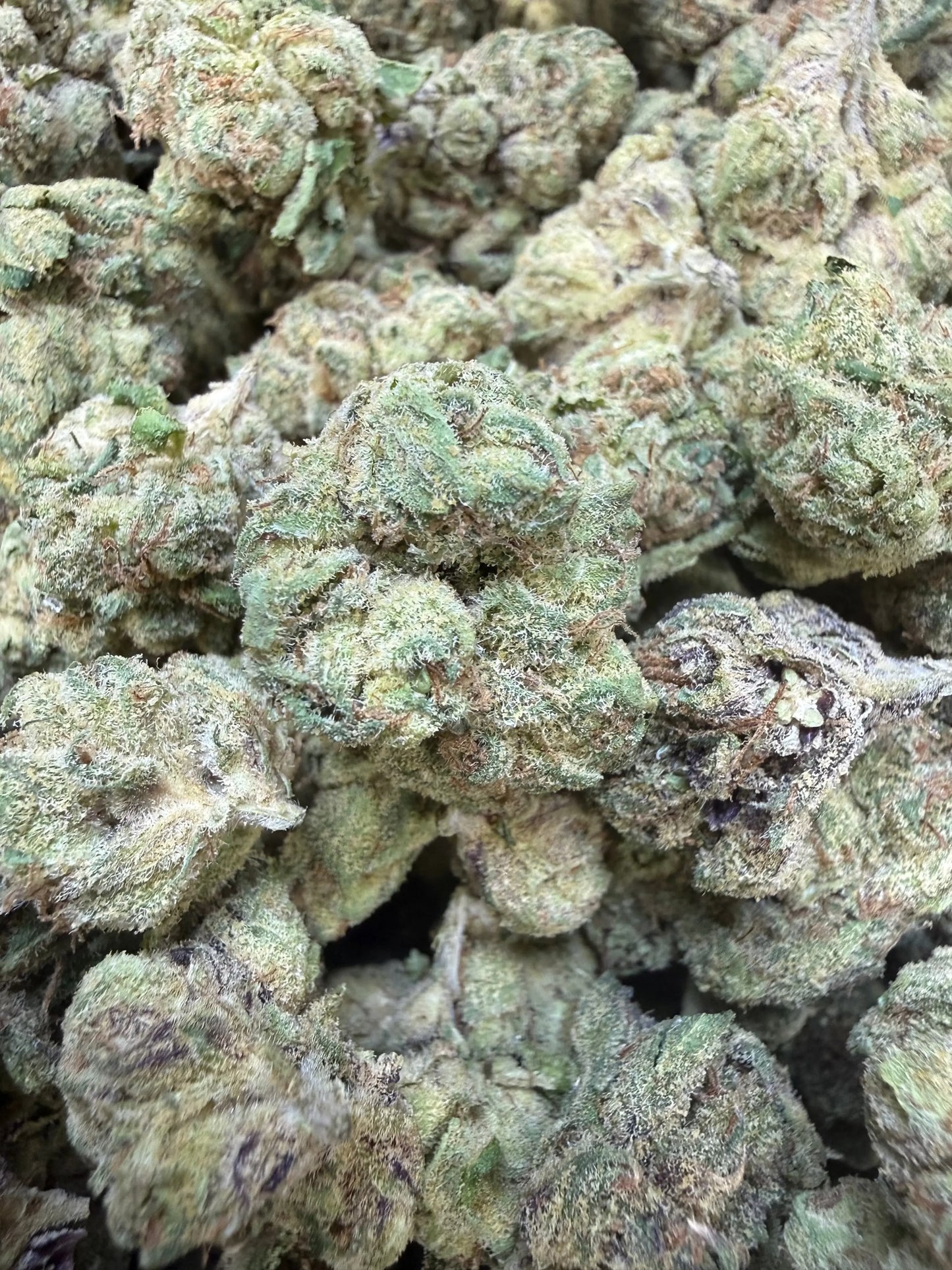 1 Pound - Sugar Syndicate THCA Strain Frisco Labs