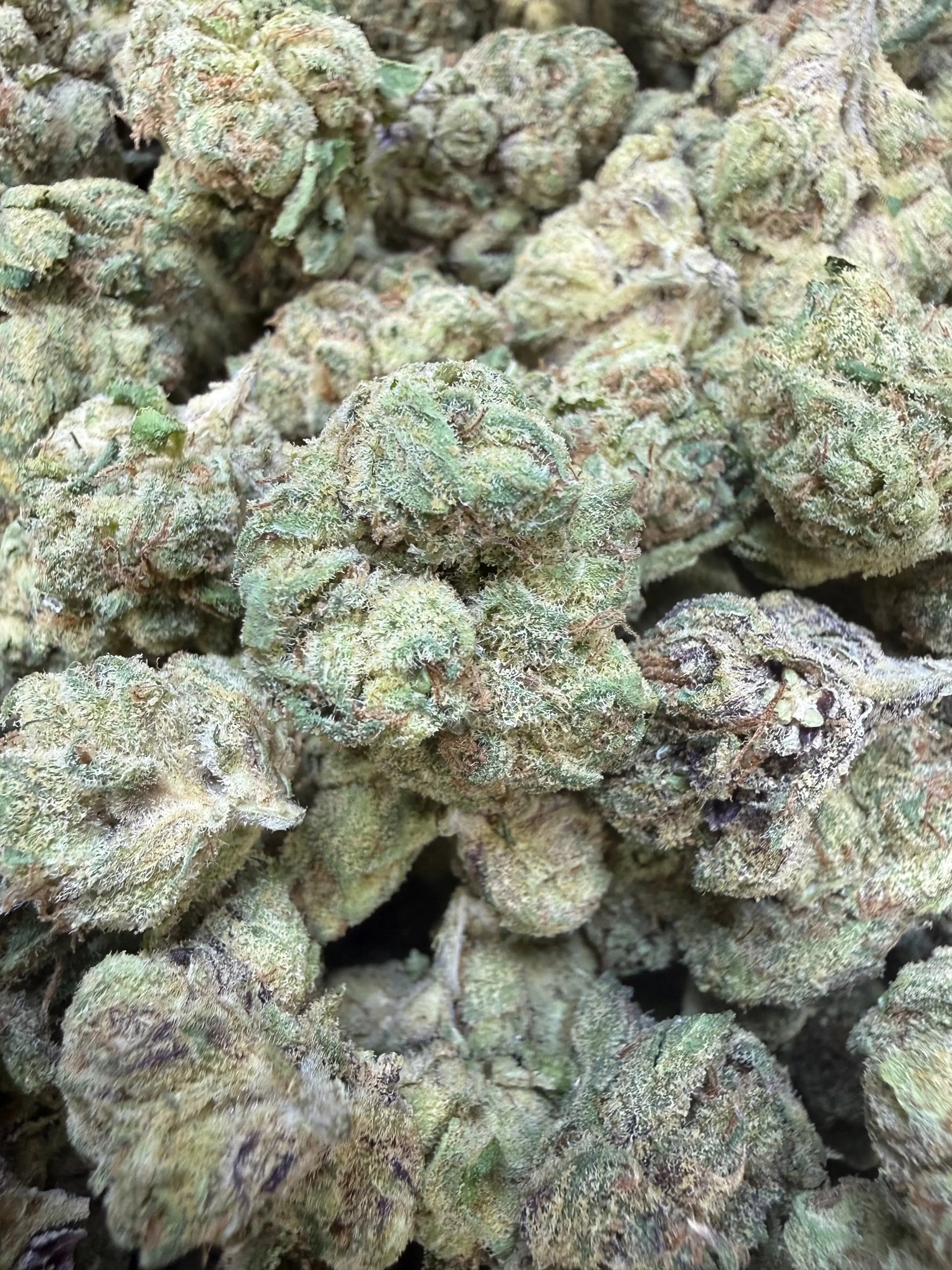 1 Pound - Sugar Syndicate THCA Strain Frisco Labs