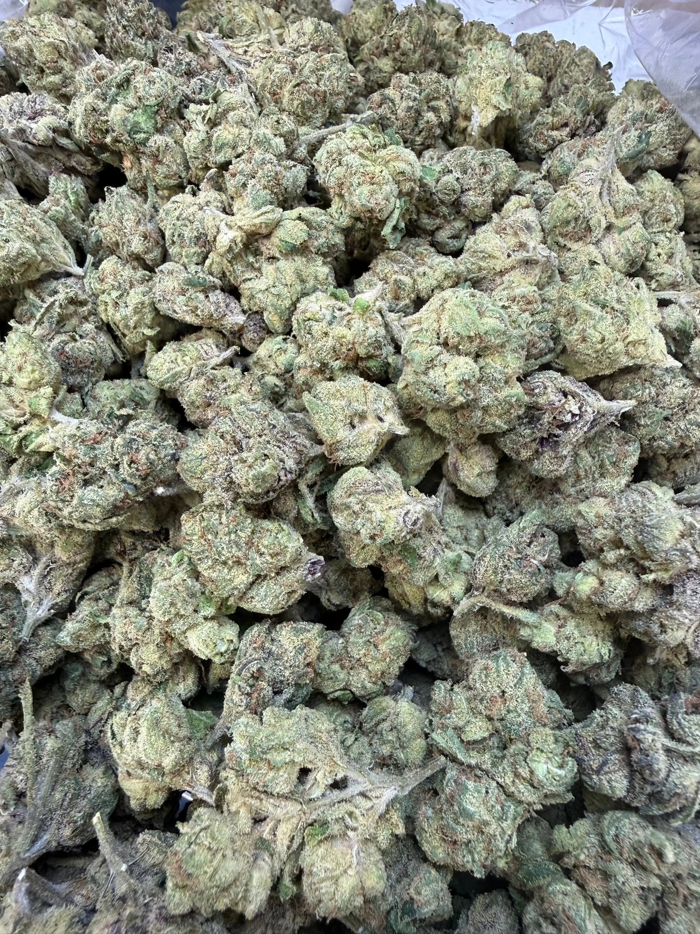 1 Pound - Sugar Syndicate THCA Strain Frisco Labs