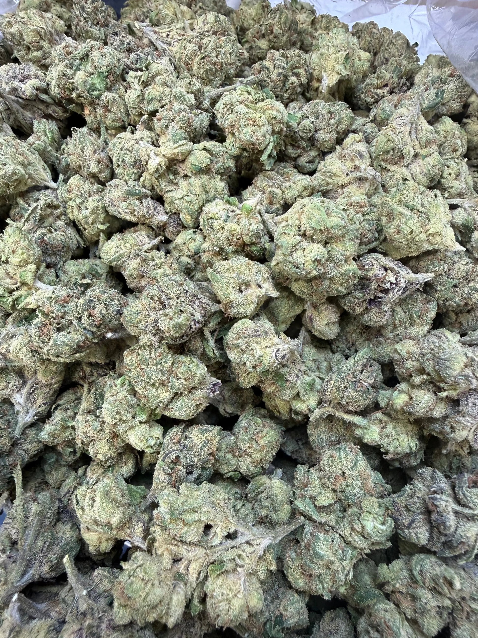 1 Pound - Sugar Syndicate THCA Strain Frisco Labs