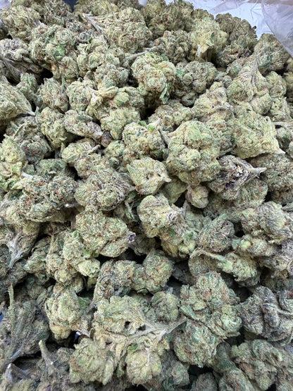 1 Pound - Sugar Syndicate THCA Strain Frisco Labs