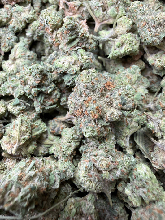 1 Pound - Super Sonic THCA Strain (Small) Frisco Labs