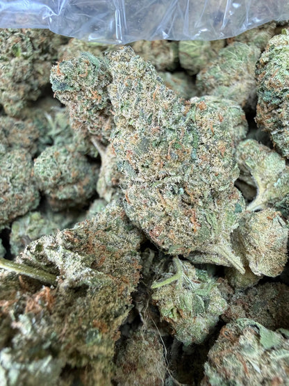 1 Pound - Tony Montana THCA Strain Frisco Labs