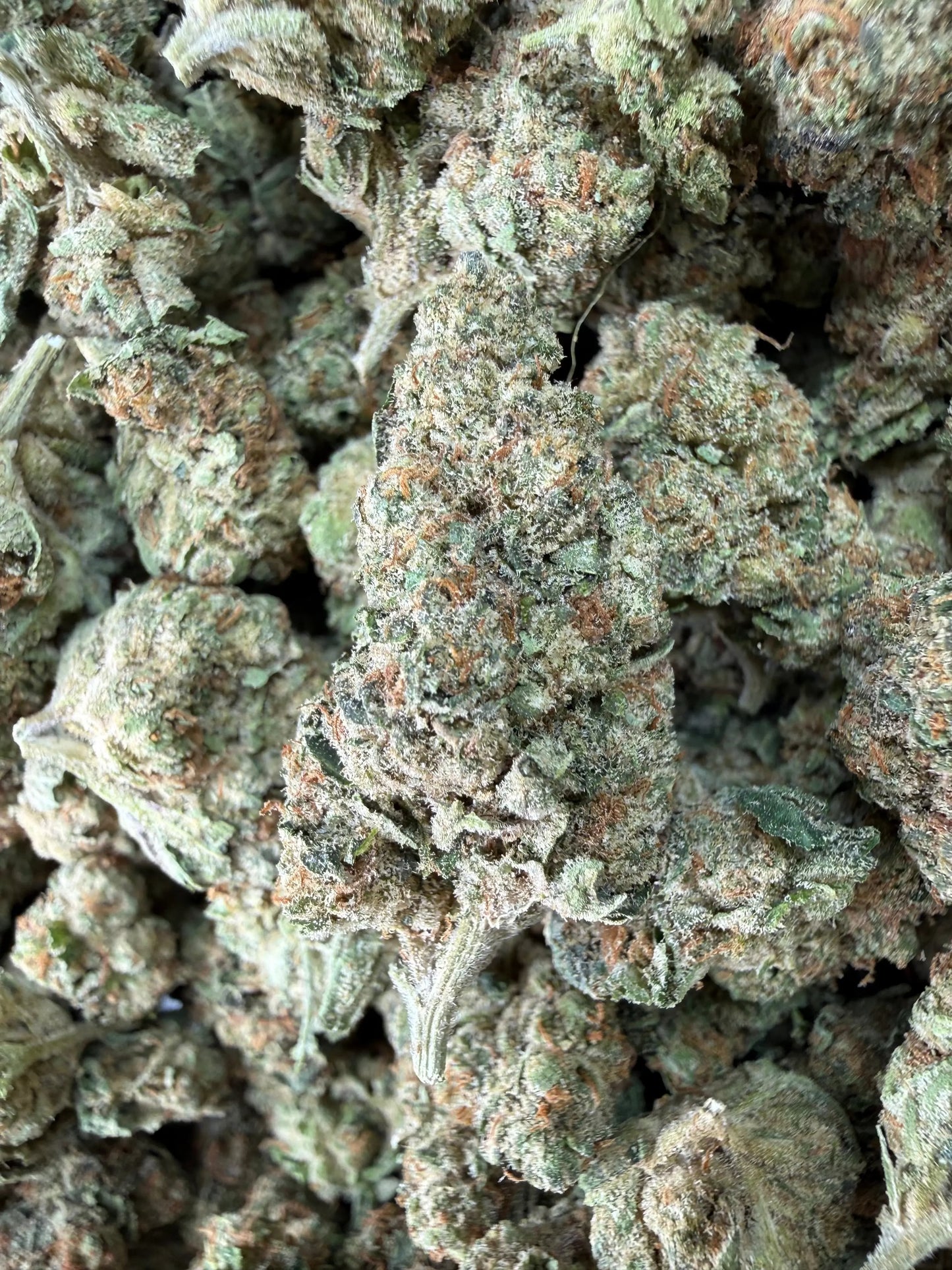 1 Pound - Tony Montana THCA Strain Frisco Labs