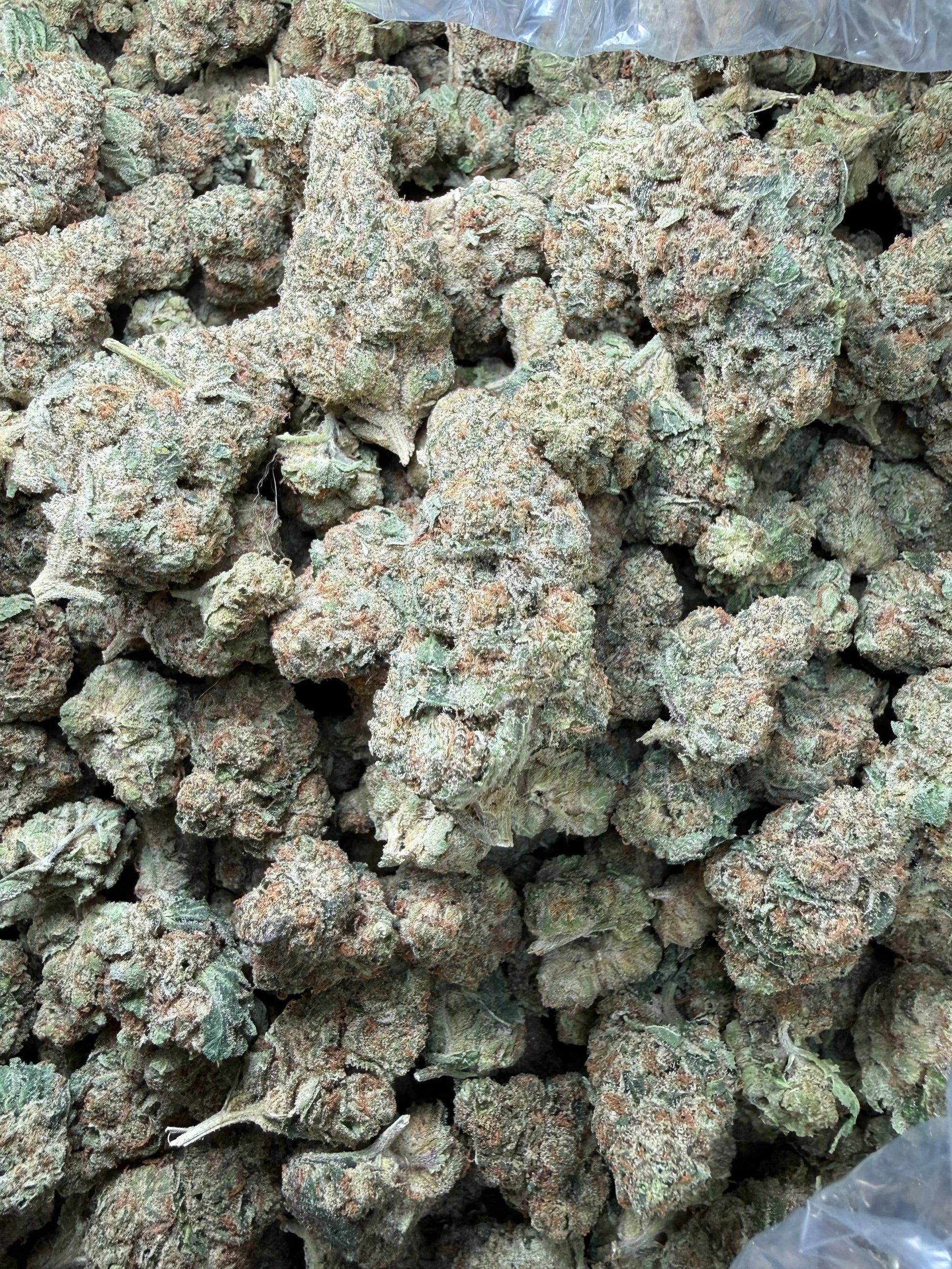 1 Pound - Tony Montana THCA Strain Frisco Labs