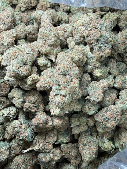 1 Pound - Tony Montana THCA Strain Frisco Labs