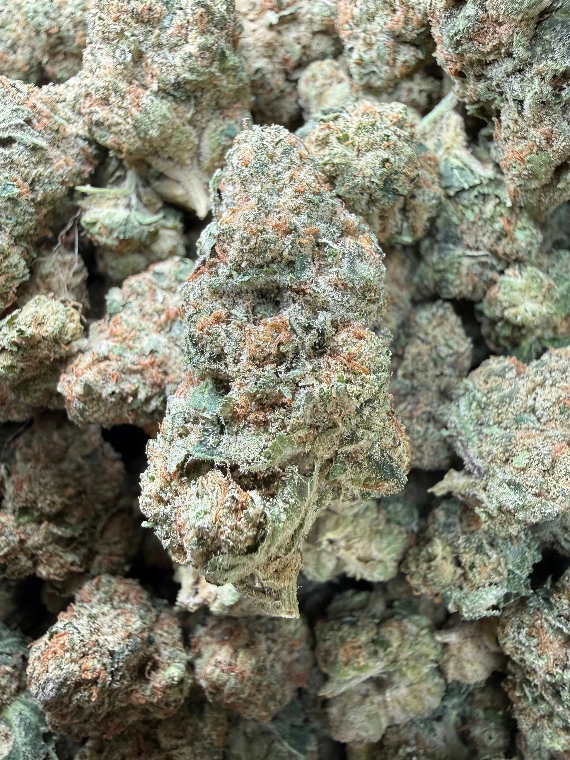 1 Pound - Tony Montana THCA Strain Frisco Labs