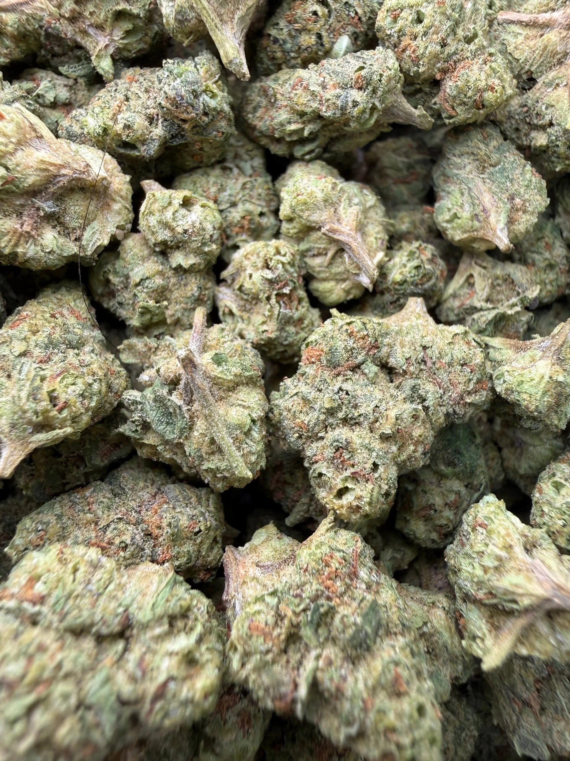 1 Pound - Tony Montana THCA Strain (Smalls) Frisco Labs