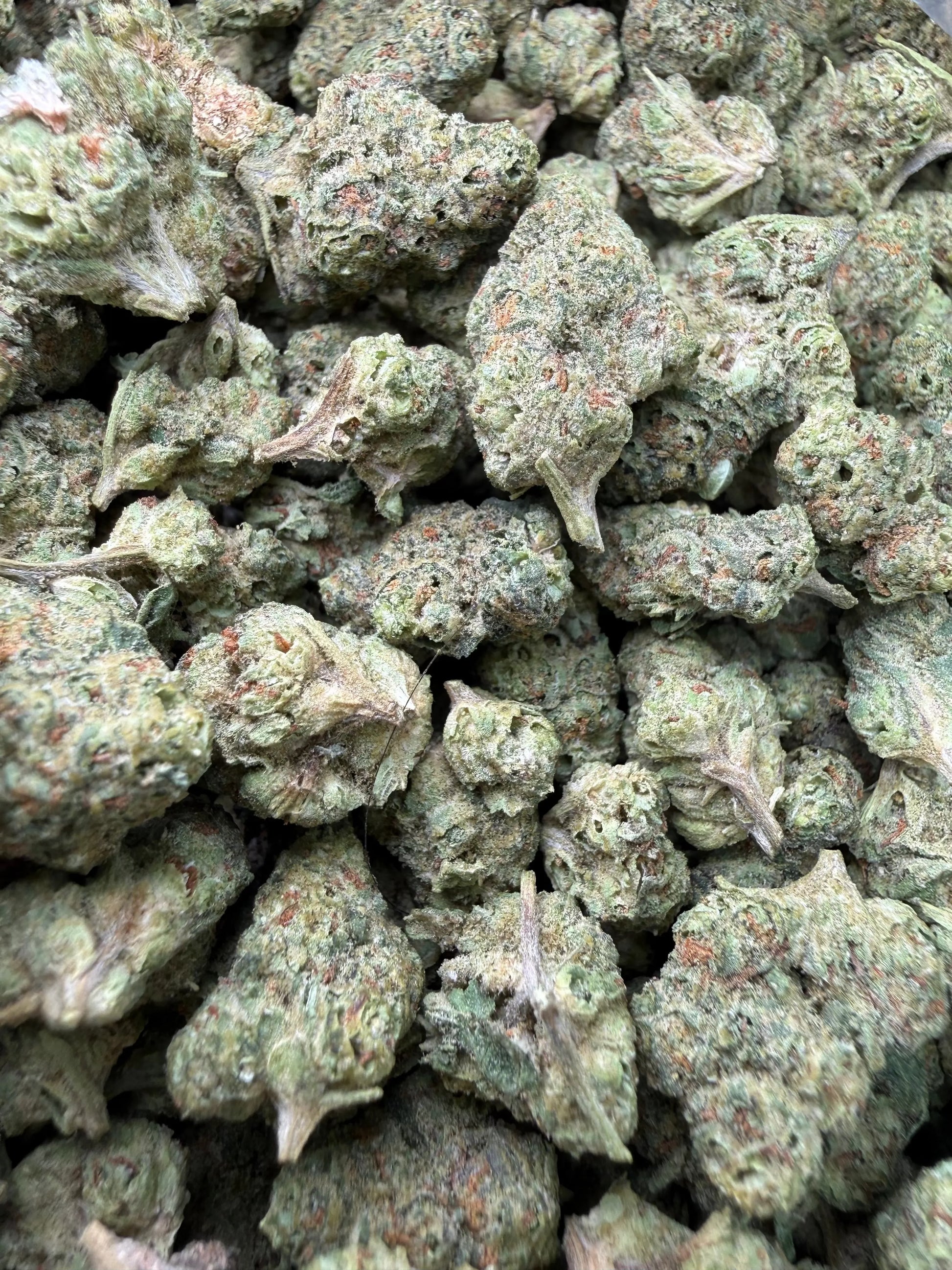 1 Pound - Tony Montana THCA Strain (Smalls) Frisco Labs