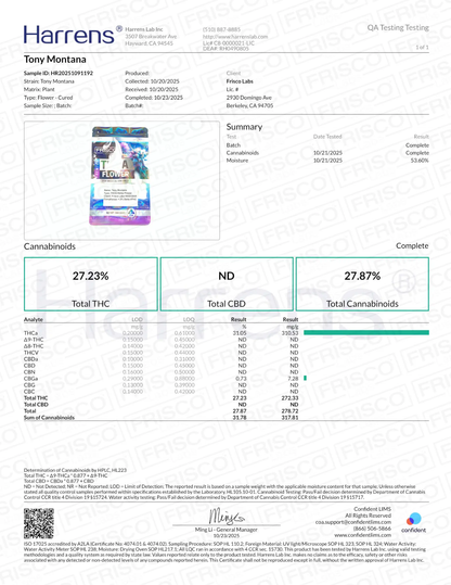 1 Pound - Tony Montana THCA Strain (Smalls) Frisco Labs