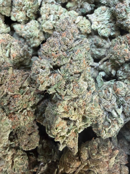 1 Pound - Trap Jelly Reserve THCA Strain Frisco Labs