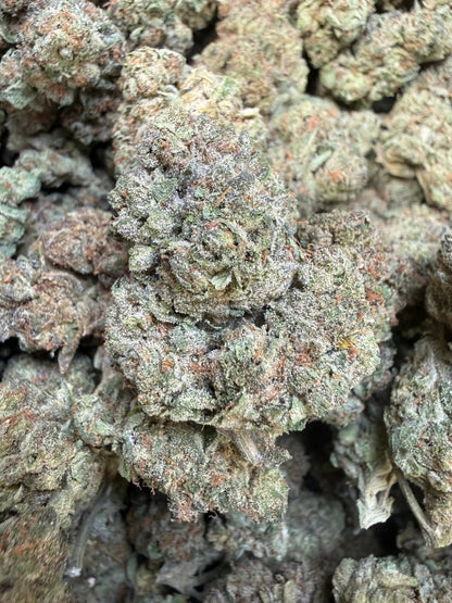 1 Pound - Trap Jelly Reserve THCA Strain Frisco Labs