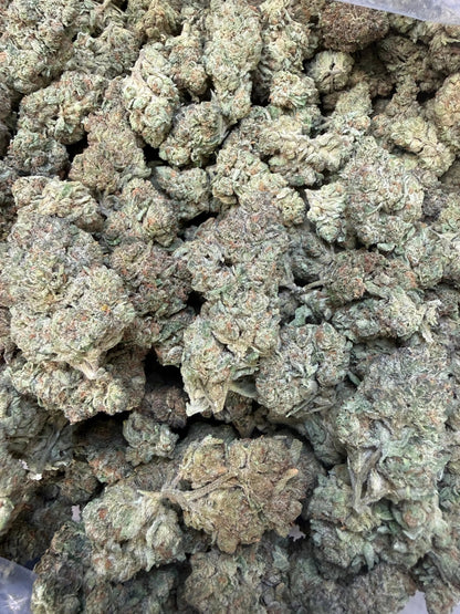 1 Pound - Trap Jelly Reserve THCA Strain Frisco Labs