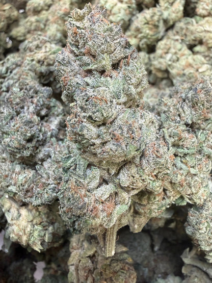 1 Pound - Trap Jelly Reserve THCA Strain Frisco Labs