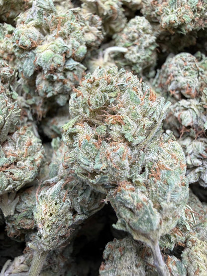 1 Pound - Venom OG THCA Strain Frisco Labs