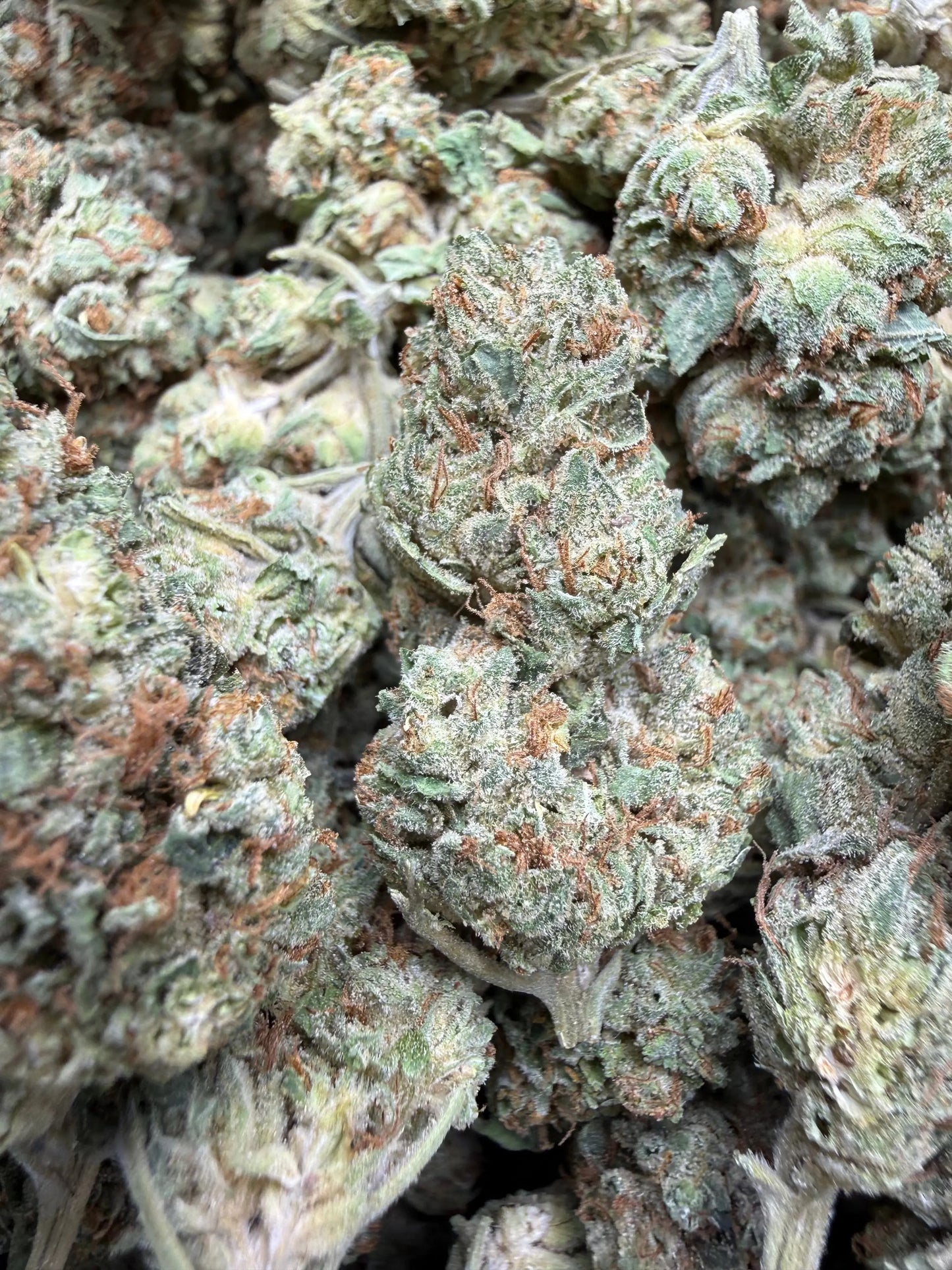 1 Pound - Venom OG THCA Strain Frisco Labs