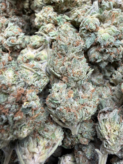 1 Pound - Venom OG THCA Strain Frisco Labs