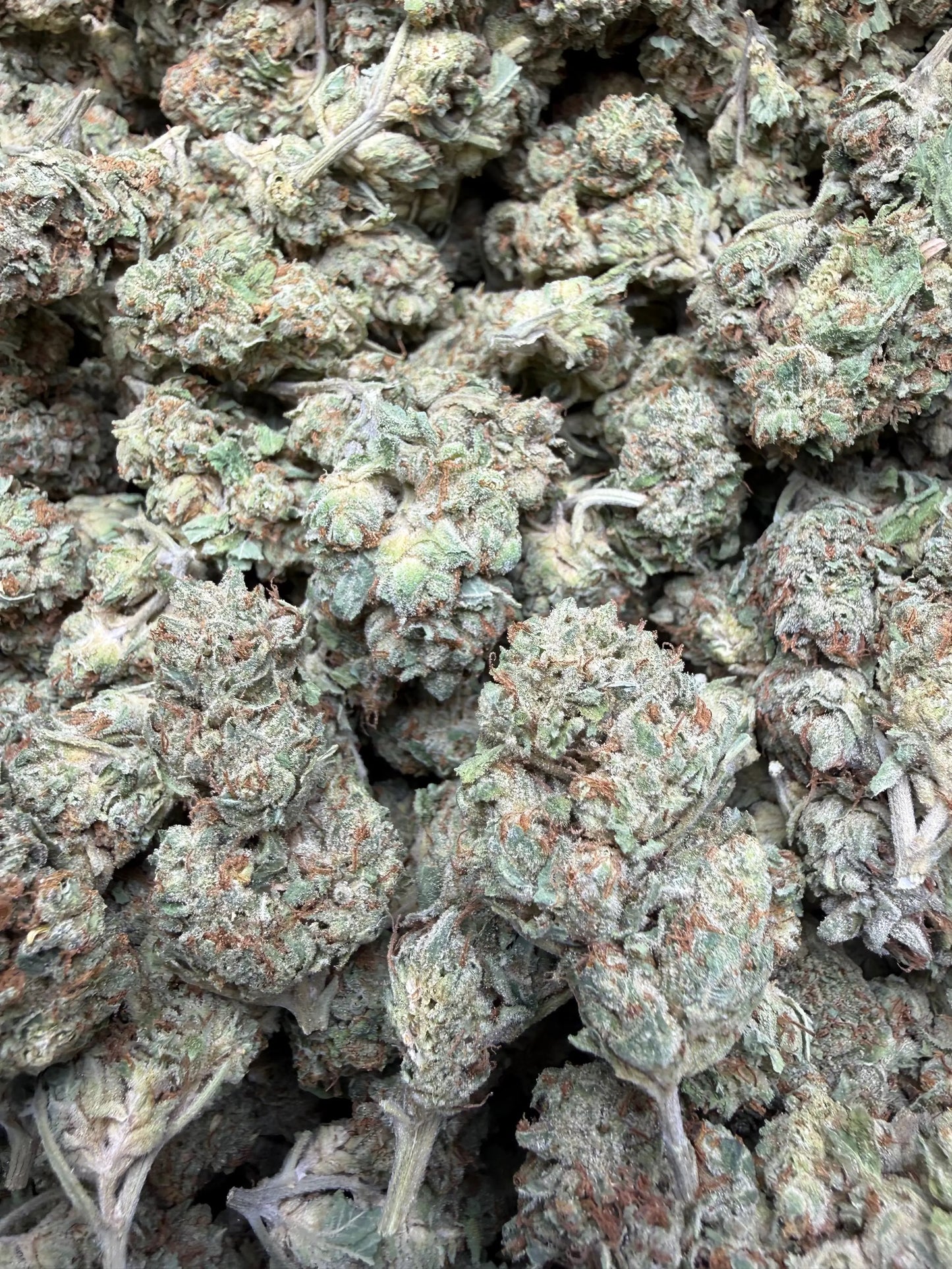 1 Pound - Venom OG THCA Strain Frisco Labs