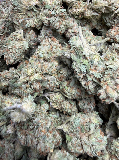 1 Pound - Venom OG THCA Strain Frisco Labs