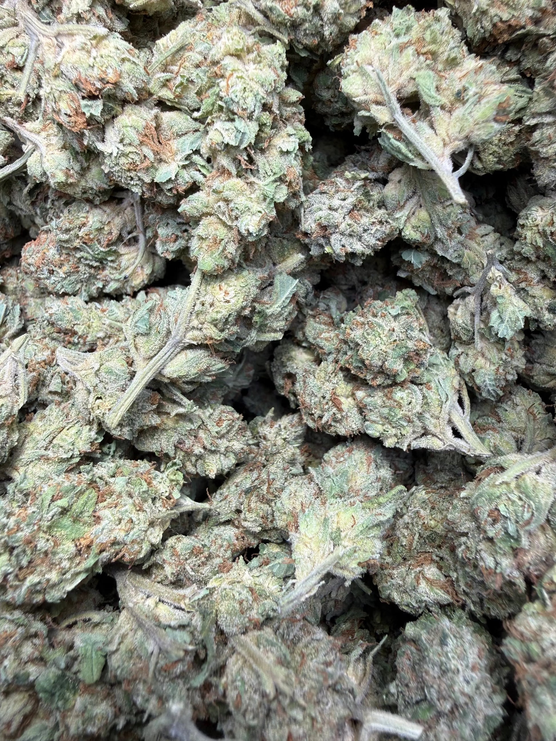 1 Pound - Venom OG THCA Strain Frisco Labs