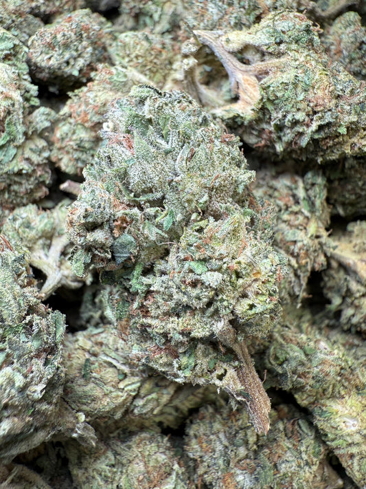 1 Pound - Venom OG THCA Strain Frisco Labs