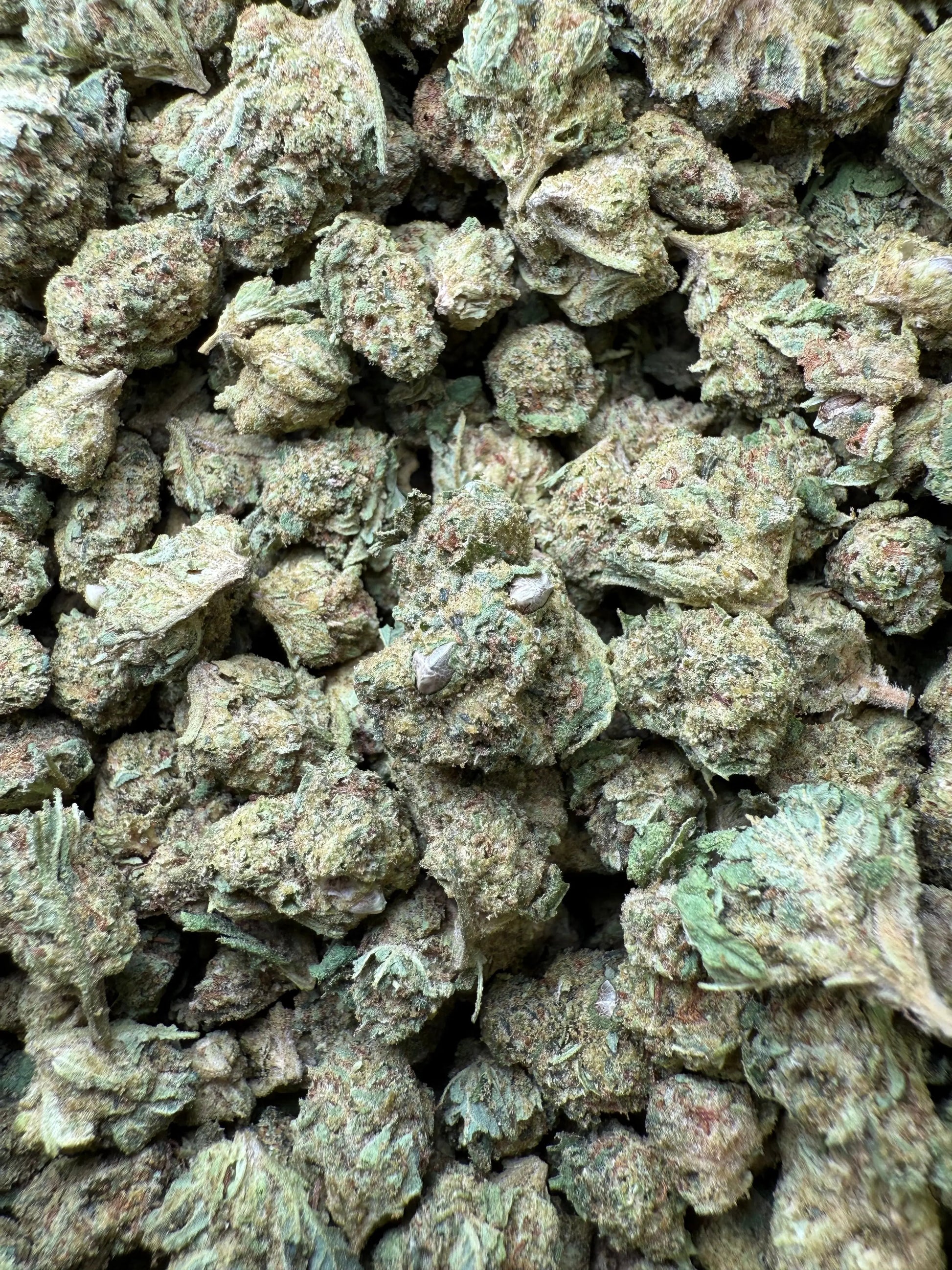 1 Pound - Venom OG THCA Strain (Smalls) Frisco Labs