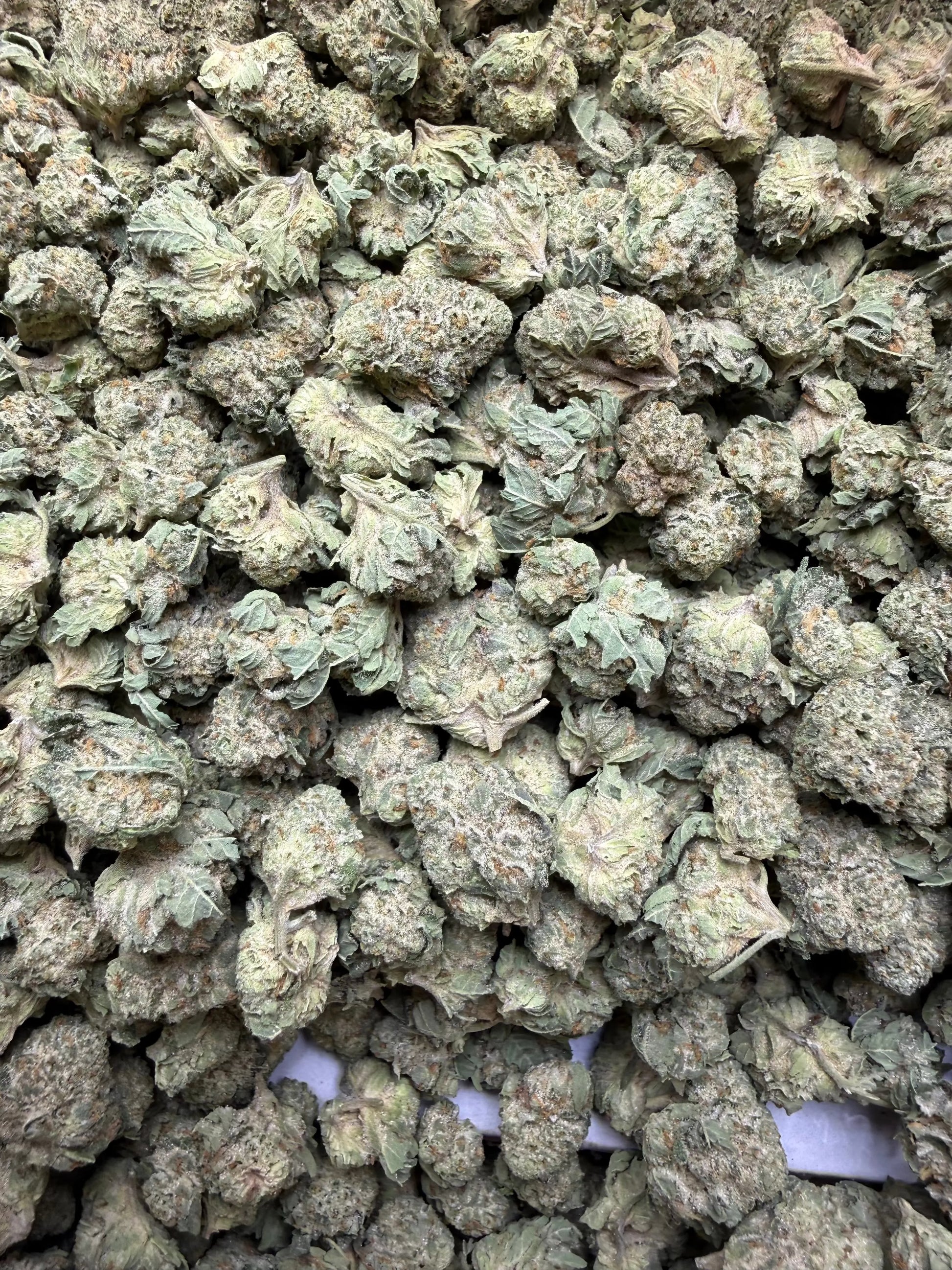 1 Pound - Waffles THCA Strain (Smalls) Frisco Labs