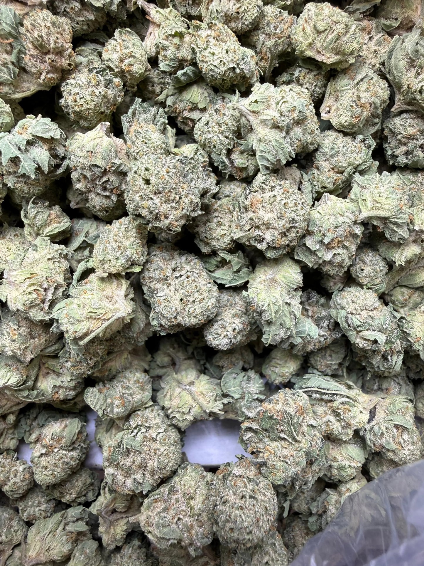 1 Pound - Waffles THCA Strain (Smalls) Frisco Labs