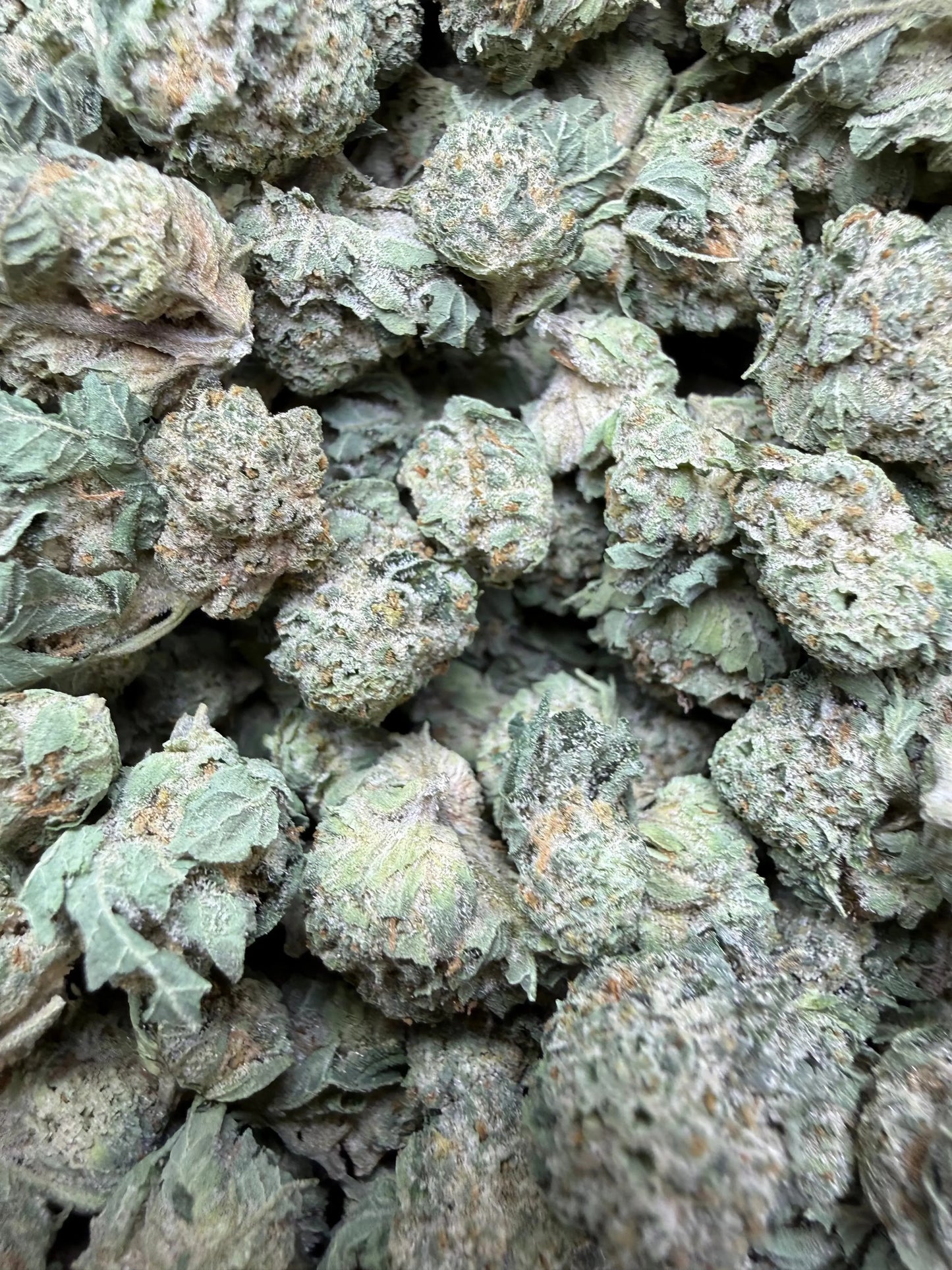 1 Pound - Waffles THCA Strain (Smalls) Frisco Labs