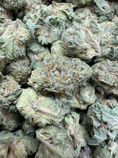 1 Pound - Waffles THCA Strain (Smalls) Frisco Labs