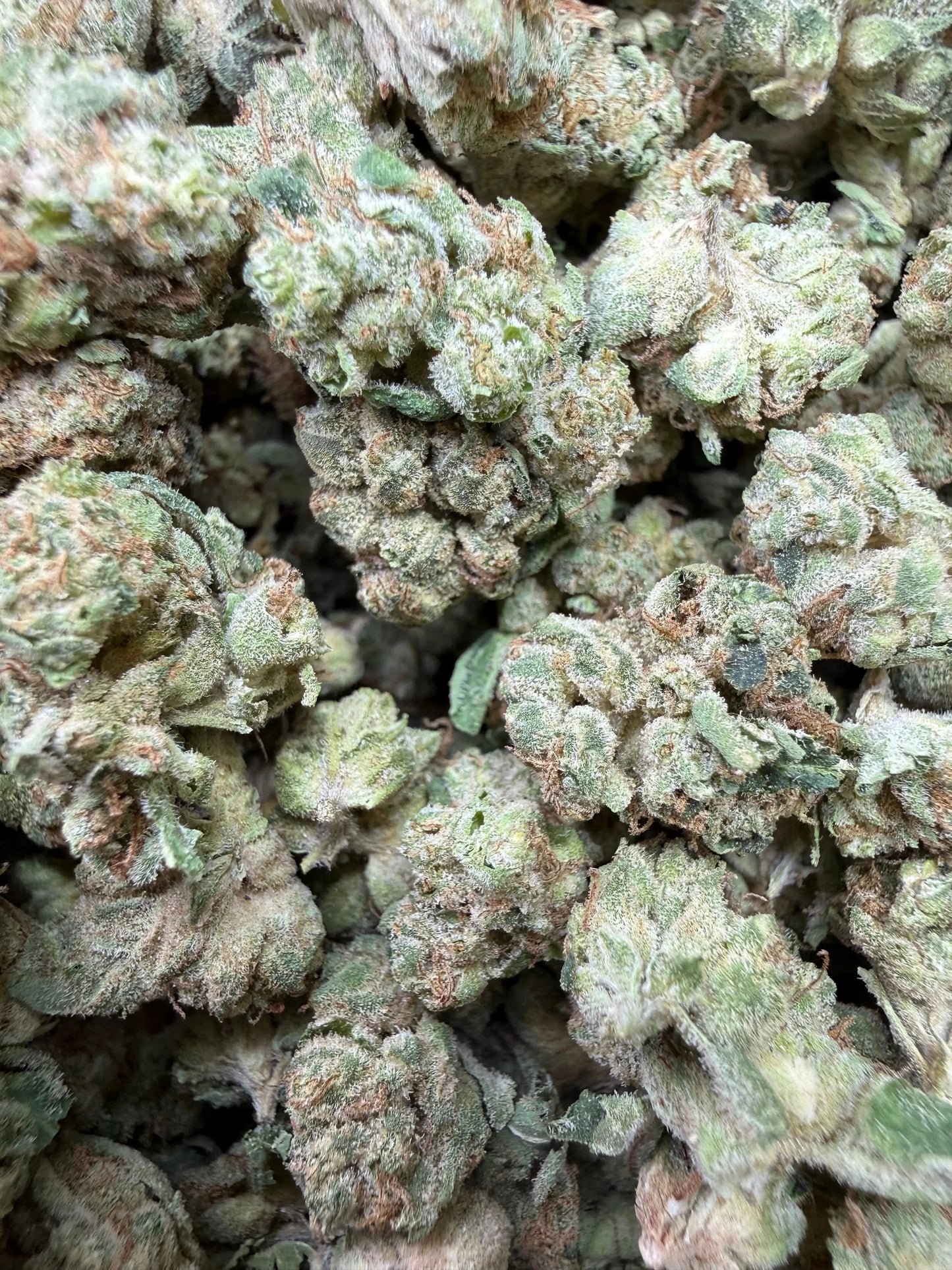 1 Pound -  Wedding Cake THCA Strain Frisco Labs