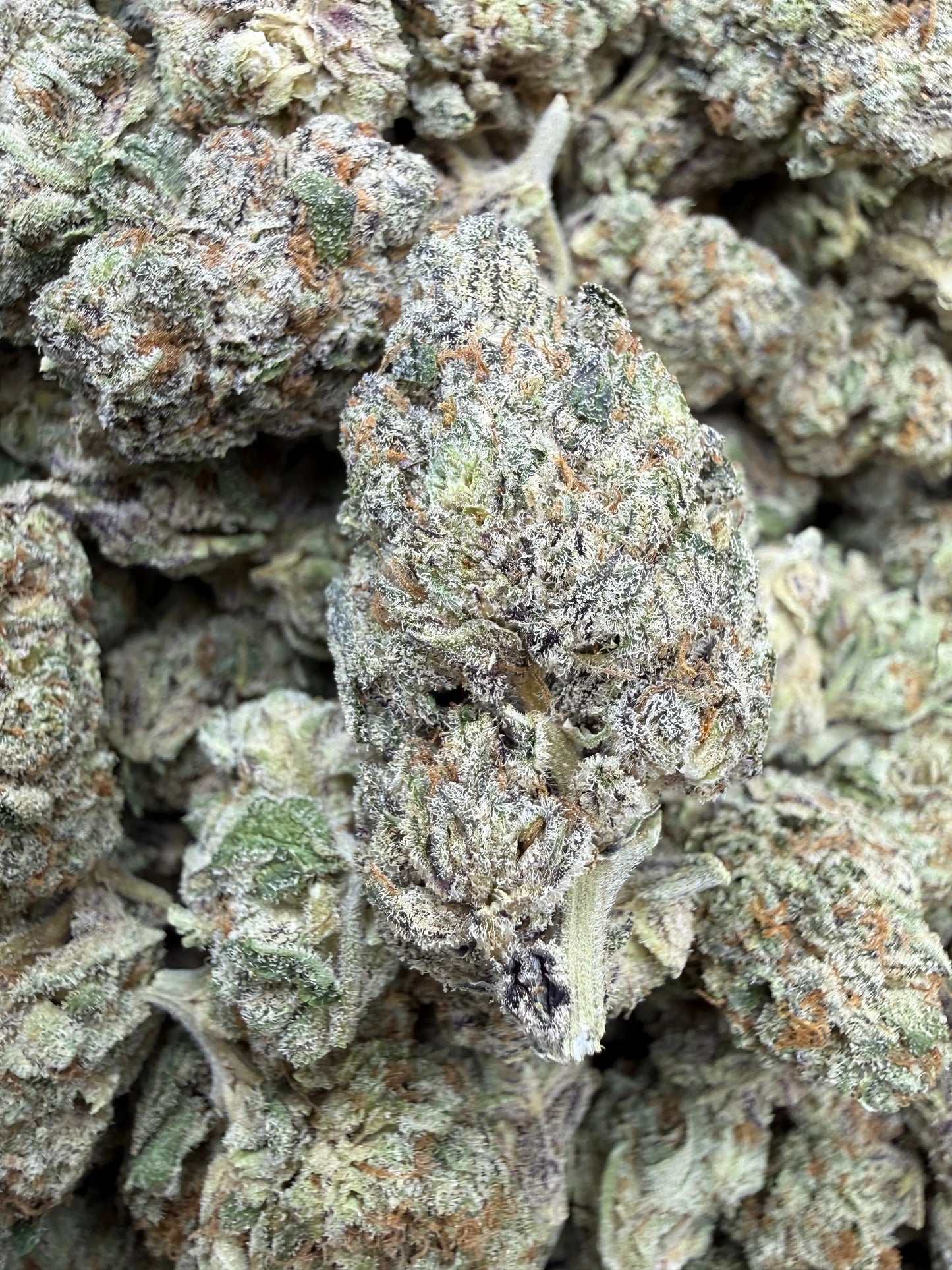 1 Pound - White Afghani THCA Strain Frisco Labs