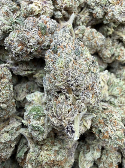 1 Pound - White Afghani THCA Strain Frisco Labs