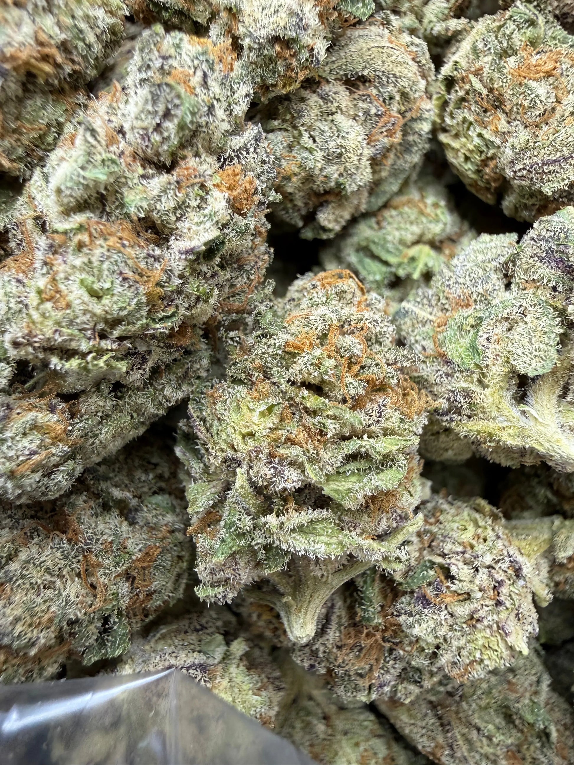 1 Pound - White Afghani THCA Strain Frisco Labs