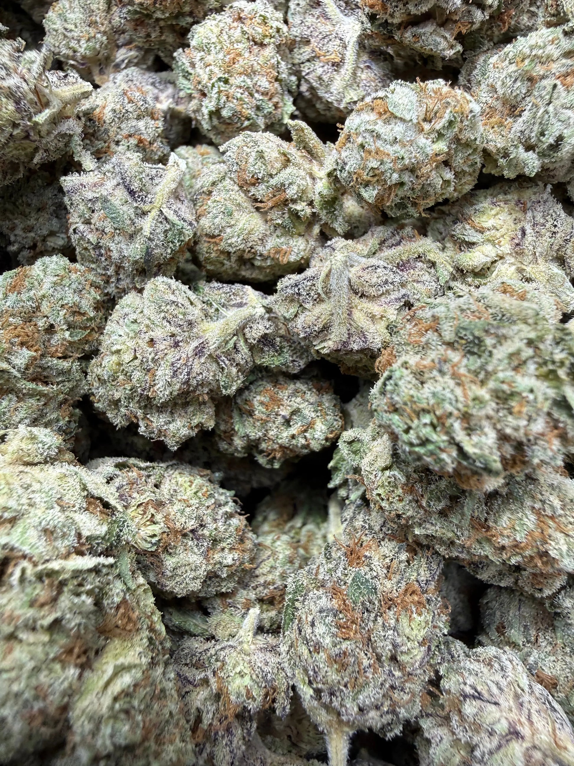 1 Pound - White Afghani THCA Strain Frisco Labs