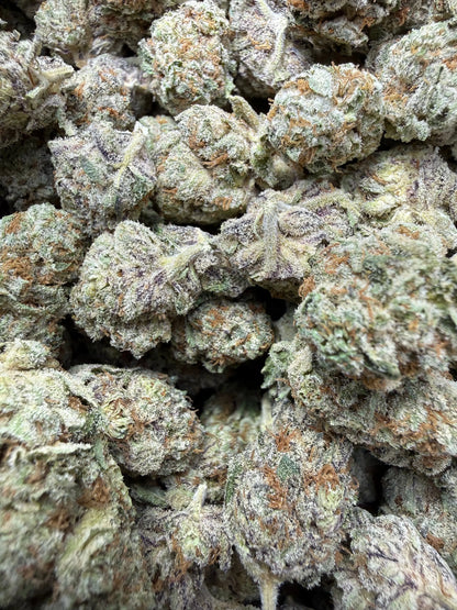 1 Pound - White Afghani THCA Strain Frisco Labs