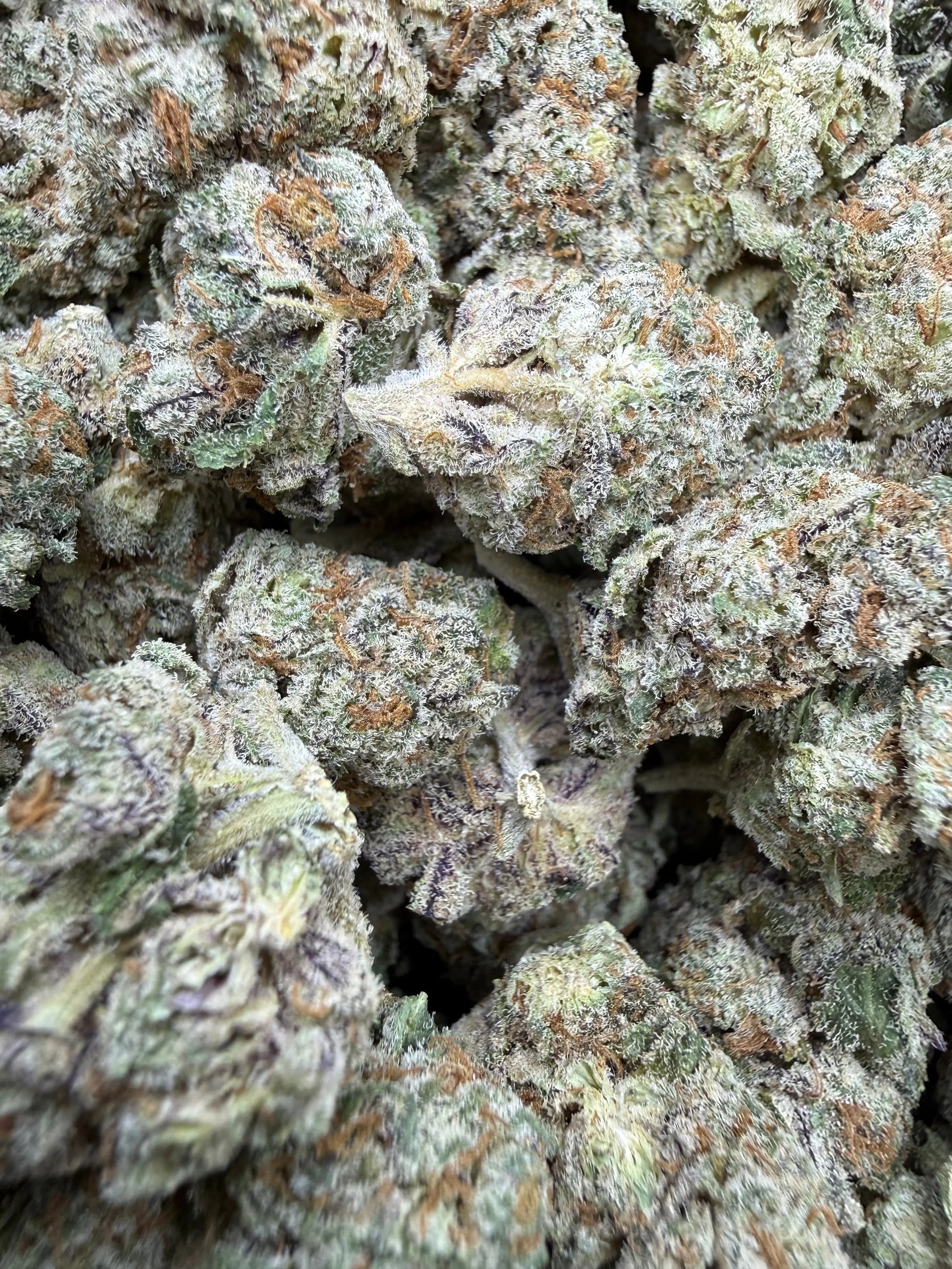 1 Pound - White Afghani THCA Strain Frisco Labs